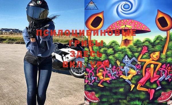 трава Магас