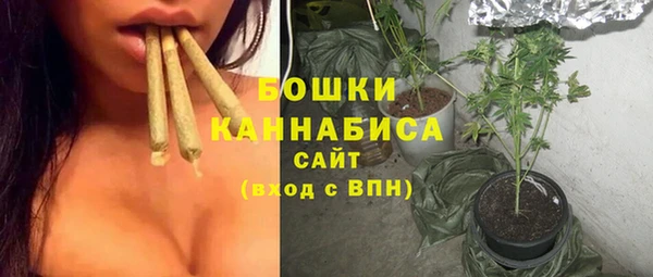индика Новый Уренгой