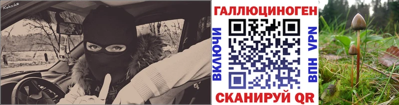 как найти наркотики  Чердынь  MEGA ссылки  Галлюциногенные грибы мицелий 